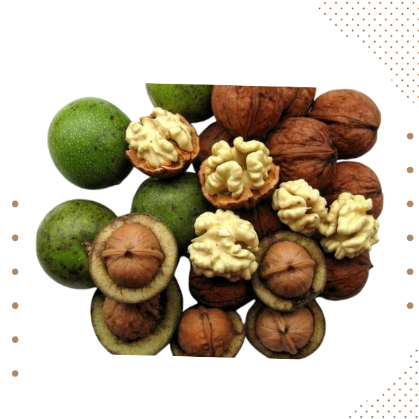 Organic Walnut Kata - Image 2